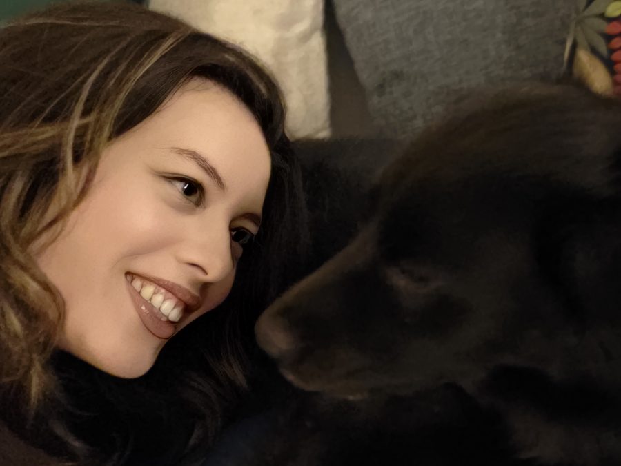 Charlay lying on the sofa nose to nose with Chaska, a large black dog