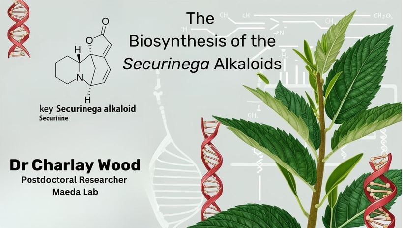 Slide from the UW–Madison Plant Chemical and Molecular Biology seminar