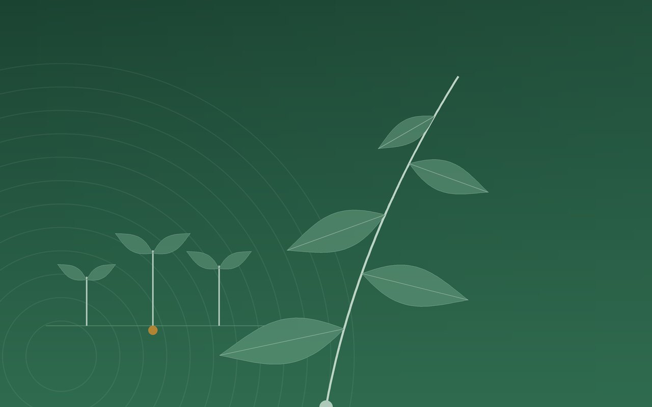 Drawn illustration: three seedlings of different heights beside a growing shoot